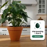 Beleaf: Plant ID &amp; Care Guide